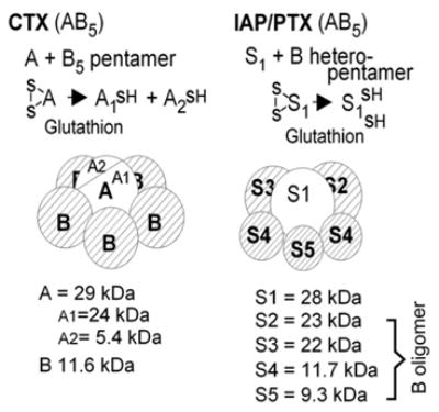 Fig. 14