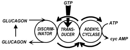 Fig. 10