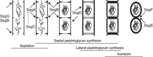 Fig. 3