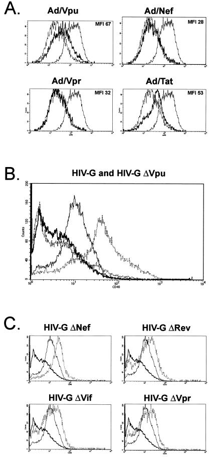 FIG. 2.