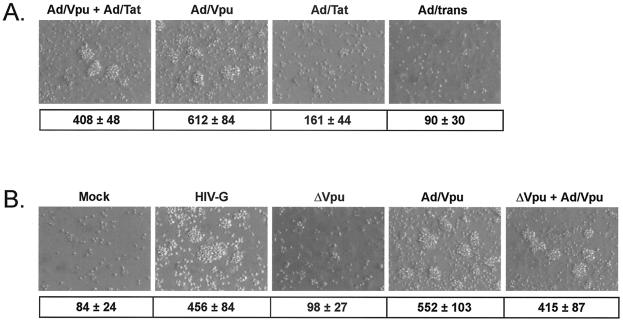 FIG. 4.