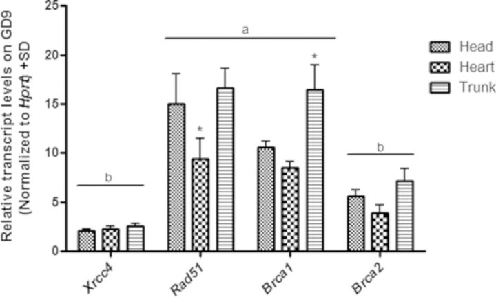 FIG. 6.