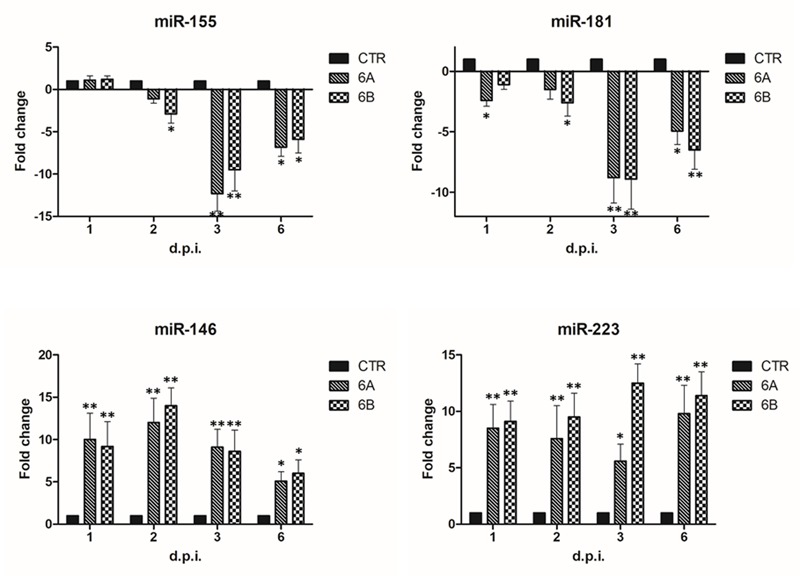 FIGURE 3