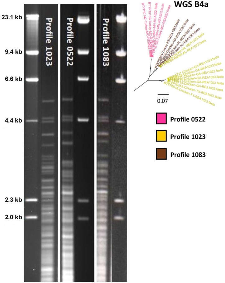 Figure 2.