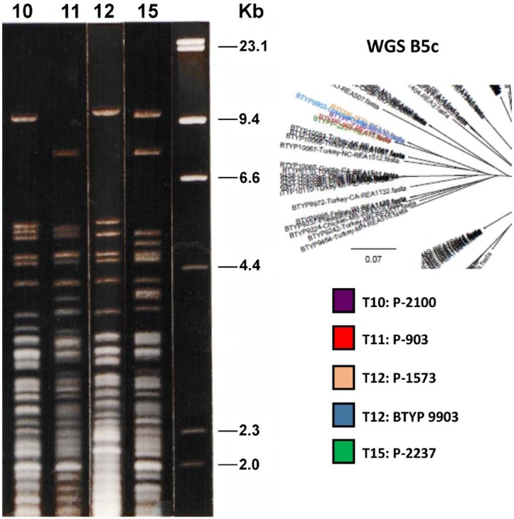 Figure 4.