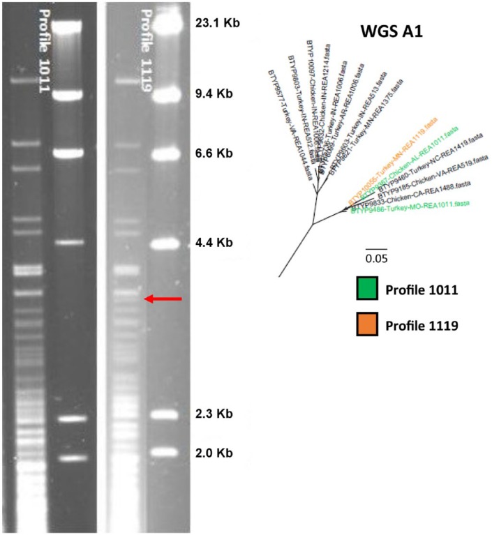 Figure 6.