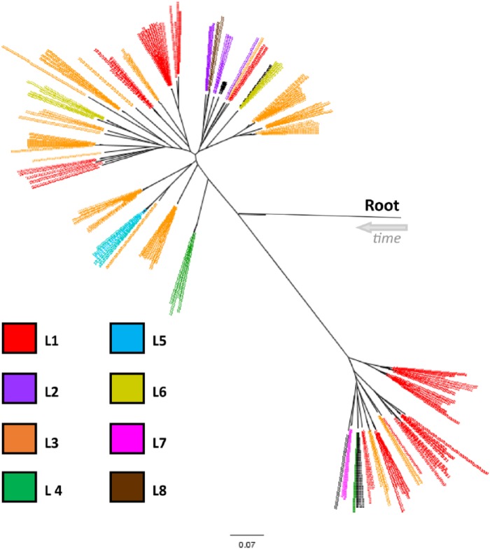 Figure 7.