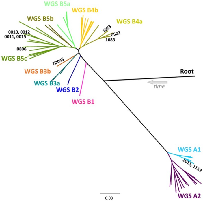 Figure 1.