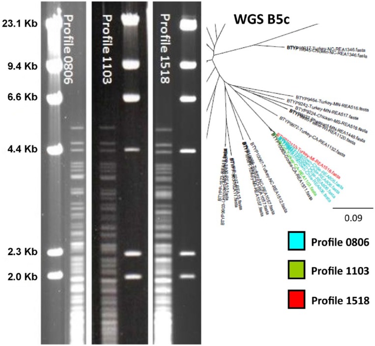 Figure 5.