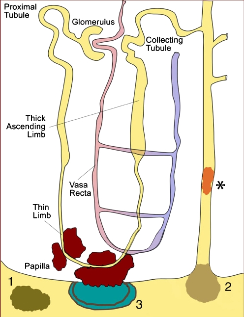 Fig. 2