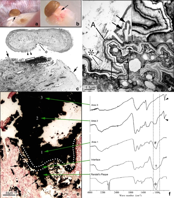 Fig. 5