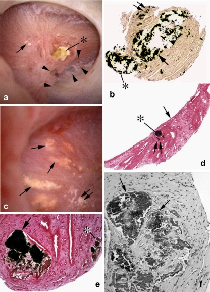 Fig. 7