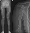 Fig. 19