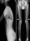 Fig. 10
