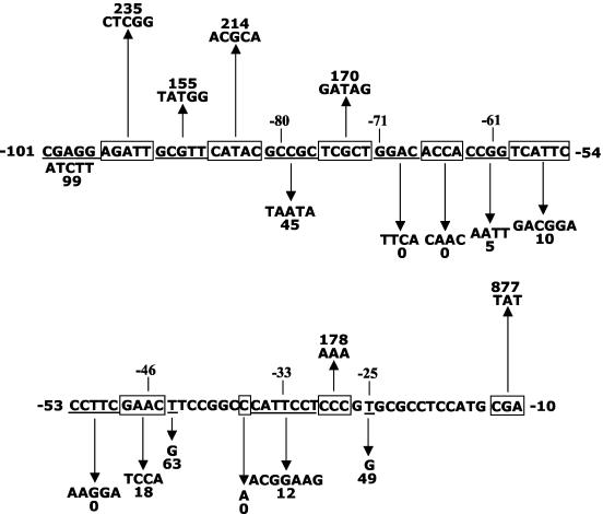 FIG. 4.