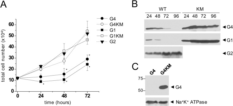 Fig 4