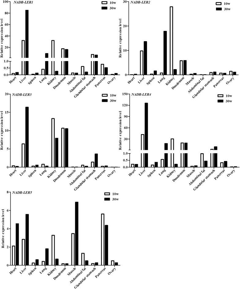 FIGURE 4