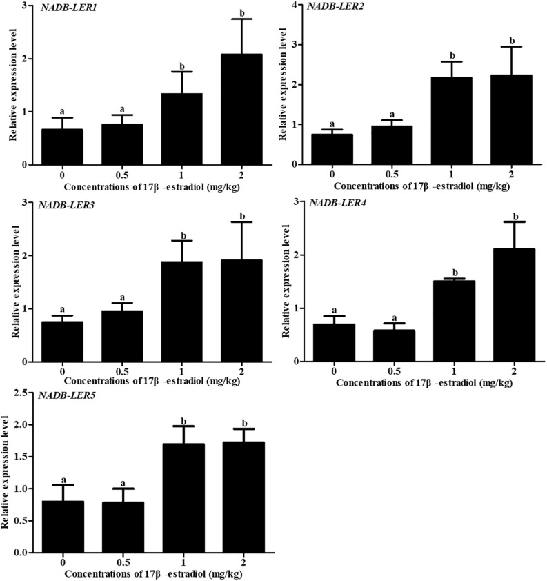 FIGURE 11