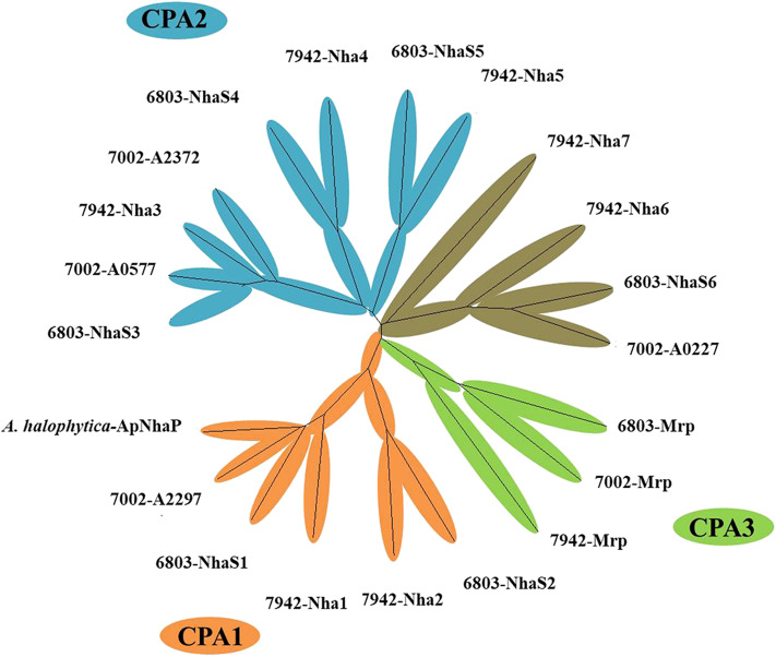 Figure 2