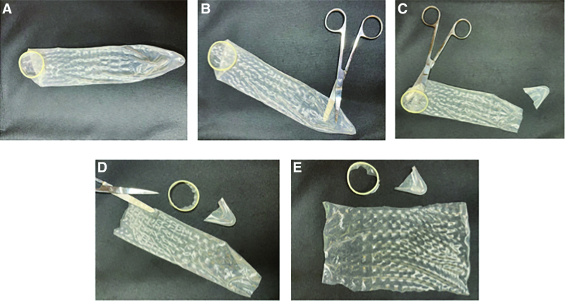 Fig. 2.