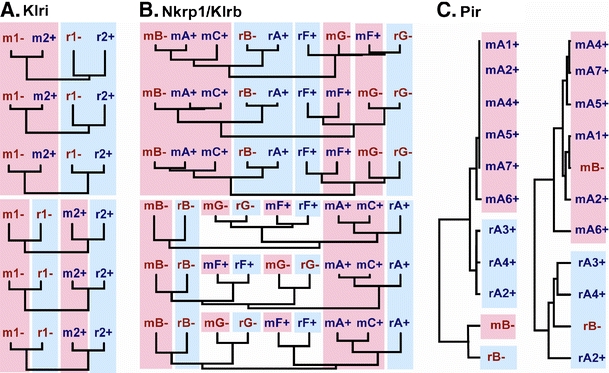 Fig. 4