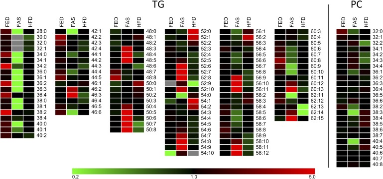 Fig. 3.