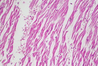 Fig. 20.7
