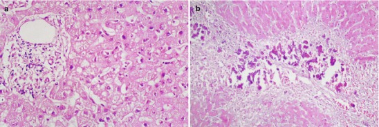 Fig. 20.6