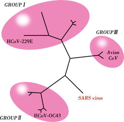 Fig. 20.1