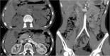 Fig. 5