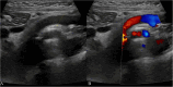 Fig. 6