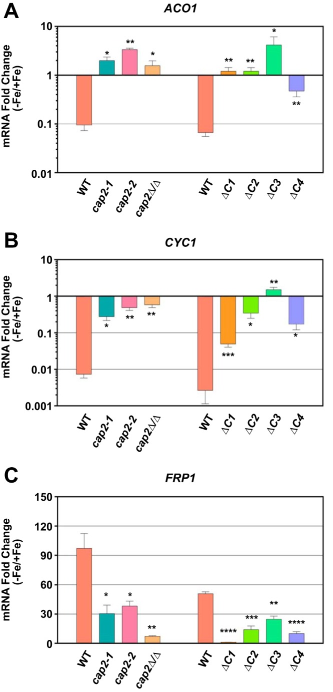 FIG 3 