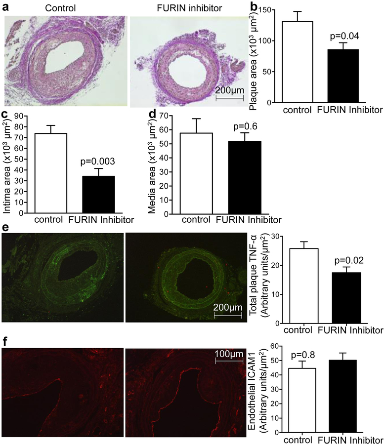 Figure 5: