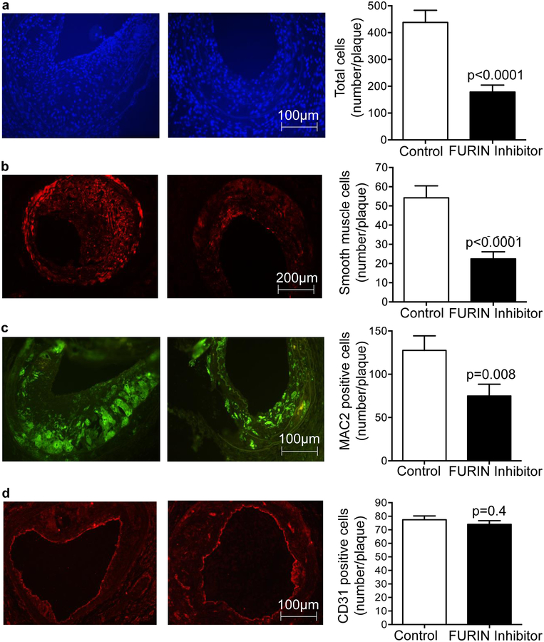 Figure 6: