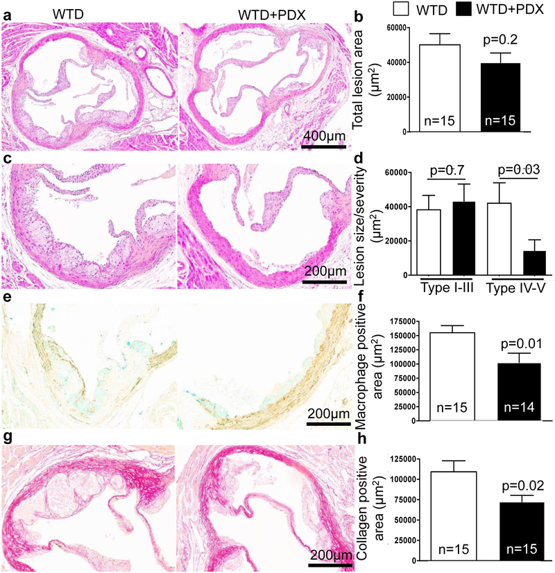 Figure 3: