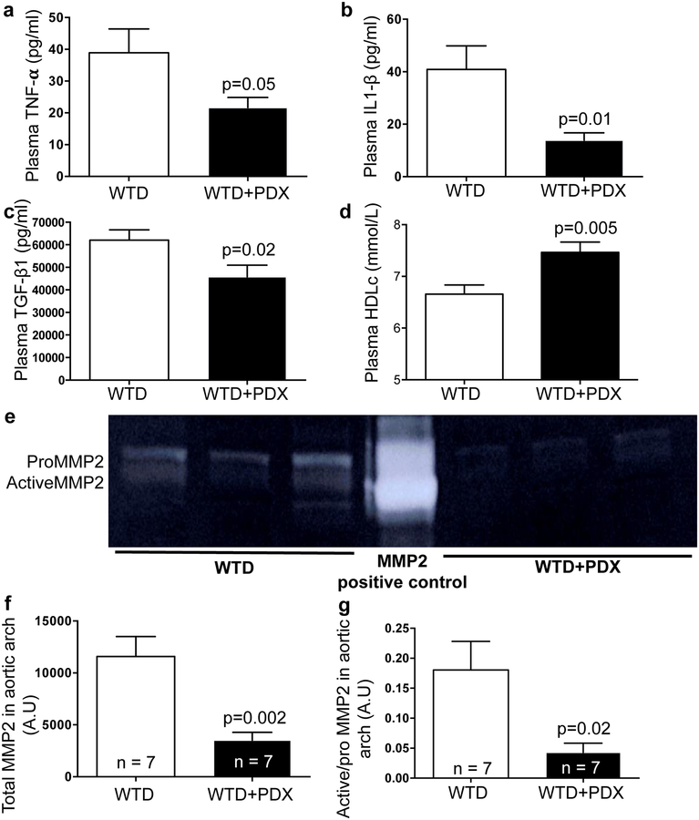 Figure 4: