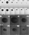 Fig. 5
