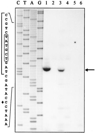 FIG. 5