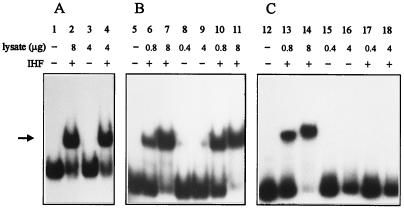 FIG. 6