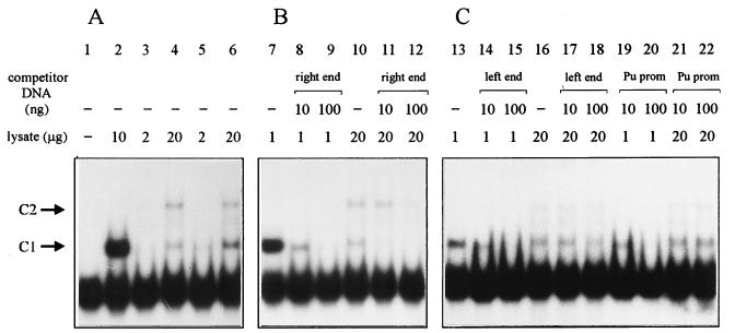 FIG. 7