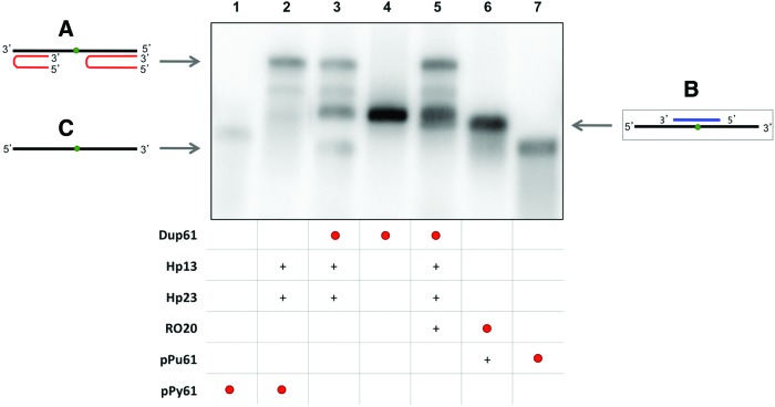 FIG. 3.