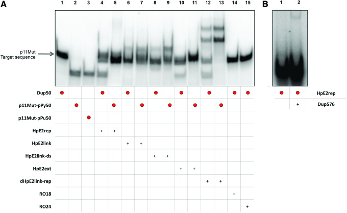 FIG. 5.