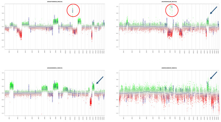 Figure 6