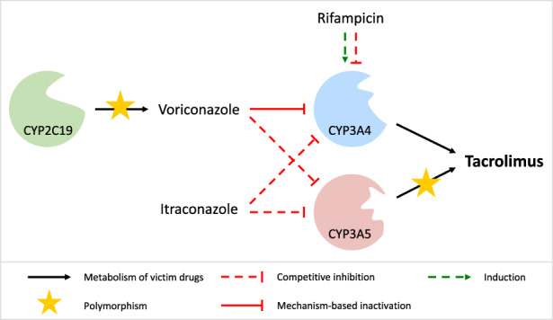 FIGURE 4