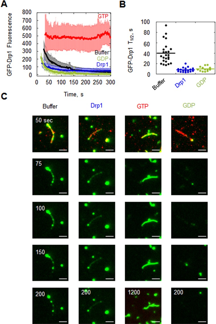 FIGURE 6: