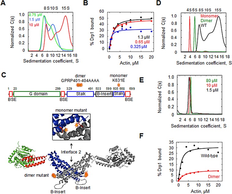 FIGURE 3: