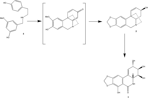 Scheme 1