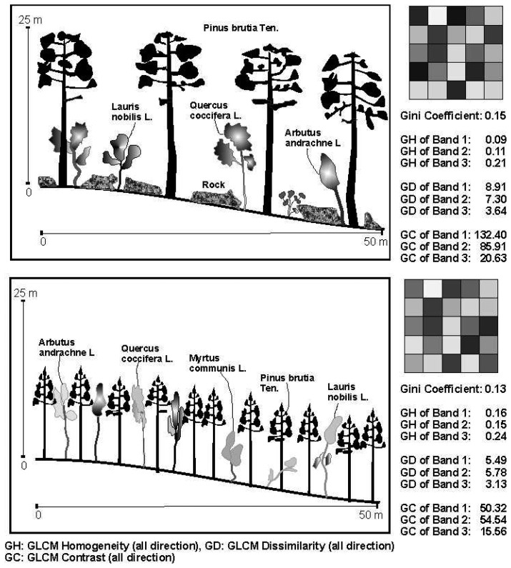 Figure 5.