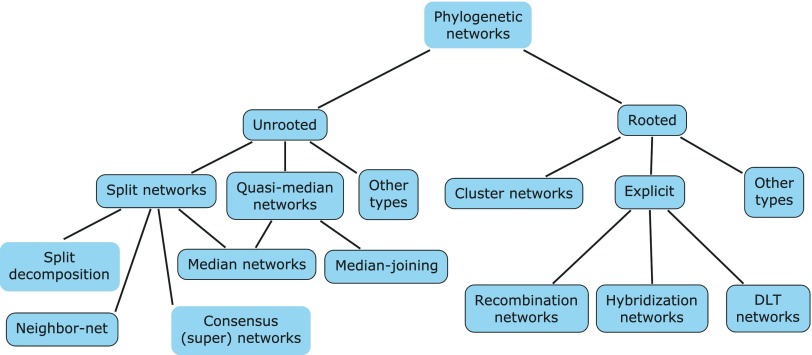 FIG. 1.—