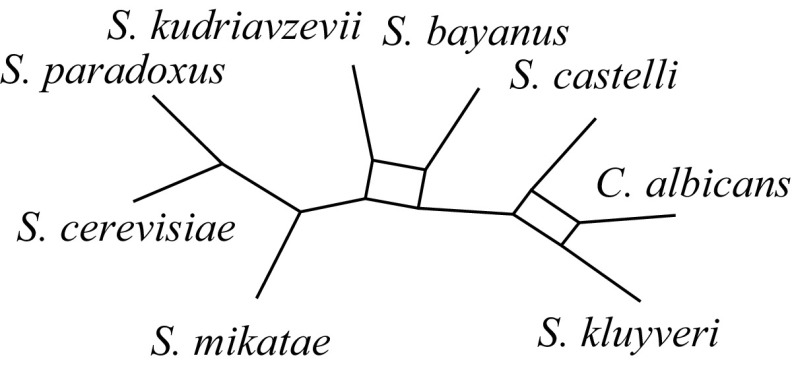 FIG. 4.—